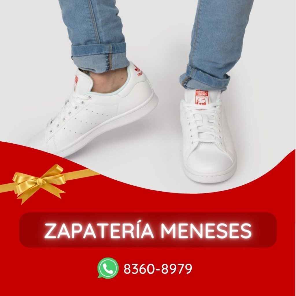 ZAPATERIA MENESES