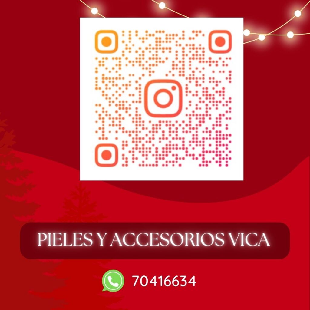 PIELES Y ACCESORIOS VICA